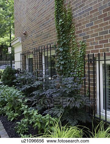Stock Photograph - GARDEN: Brick home, metal bars on windows, flower border. Fotosearch