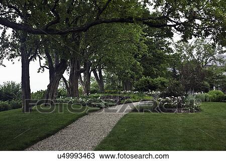 GARDEN: Gravel path curves along tree line, flower beds on either side of path, lawn in foreground, path leads into the picture, roses, hosta, Russian sage View Large Photo Image Stock Image - GARDEN: Gravel path curves along tree line, flower beds on either side of path, lawn in foreground, path leads into the picture, roses, hosta, Russian sage. Fotosearch