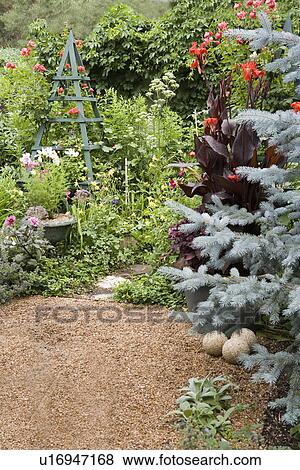 GARDEN: Gravel path, wild garden, trellis, colorful cannas View Large Photo Image Stock Photo - GARDEN: Gravel path, wild garden, trellis, colorful cannas. Fotosearch