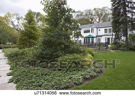 Stock Photograph - GARDEN: Ground cover around trees, rocks to left, fence around pool area, white house. Fotosearch