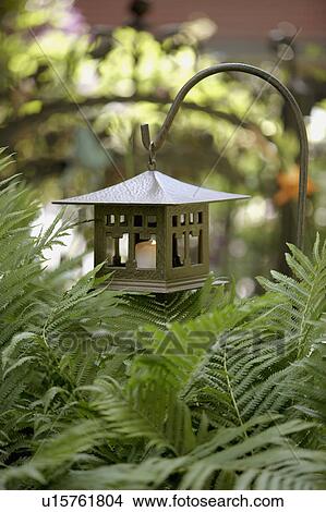 GARDEN LIGHTING: Mission style candle lantern hangs from a hook in border of ferns View Large Photo Image Picture - GARDEN LIGHTING: Mission style candle lantern hangs from a hook in border of ferns. Fotosearch
