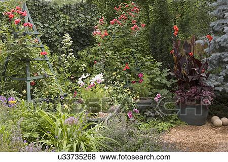 GARDEN: Two trellis hold roses, container of cannas on right, three concrete balls View Large Photo Image Stock Photo - GARDEN: Two trellis hold roses, container of cannas on right, three concrete balls. Fotosearch