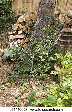 GARDEN: Vintage garden chair, climbing vines View Large Photo Image Stock Photo - GARDEN: Vintage garden chair, climbing vines. Fotosearch