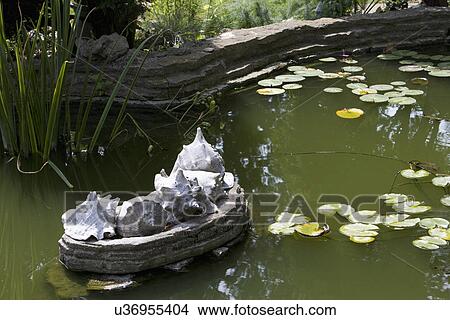 Picture - GARDENS: 1930'S Arts and crafts garden with pond, lily pads, shell garden sculpture. Fotosearch