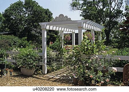 Gardens: Attractive white wood arbor and fencing set in flower garden. View Large Photo Image Stock Image - Gardens: Attractive white wood arbor and fencing set in flower garden. . Fotosearch
