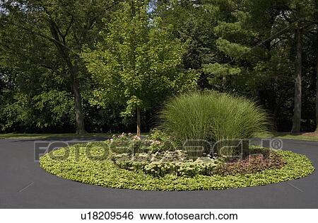 Stock Photograph - GARDENS: circular flower bed of grasses and perennials, annuals, blacktop drive surrounds. Fotosearch