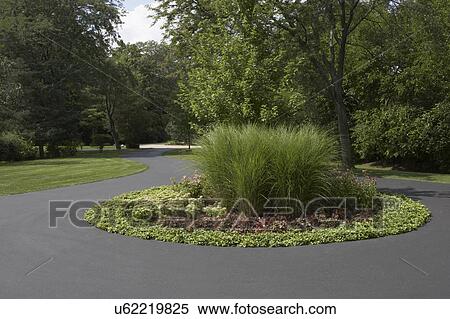 GARDENS: circular flower bed of grasses and perennials, annuals, blacktop drive surrounds View Large Photo Image Stock Photography - GARDENS: circular flower bed of grasses and perennials, annuals, blacktop drive surrounds. Fotosearch