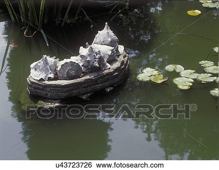 Stock Photograph - GARDENS: Close up of pond, lily pads, concrete shell sculpture, summer, Arts and Crafts garden, 1930s pond. . Fotosearch
