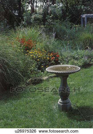 GARDENS: Concrete birdbath in foreground, summer, Miscanthus grass, Brown Eyed Susans, Russian Sage, background arbor, red crocosmia View Large Photo Image Stock Photograph - GARDENS: Concrete birdbath in foreground, summer, Miscanthus grass, Brown Eyed Susans, Russian Sage, background arbor, red crocosmia. Fotosearch