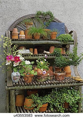 Stock Image - Gardens: Detail shot of a twig and log potting work station on a porch, has shelves filled with topiaries, ivy, flowers and clay pots.. Fotosearch