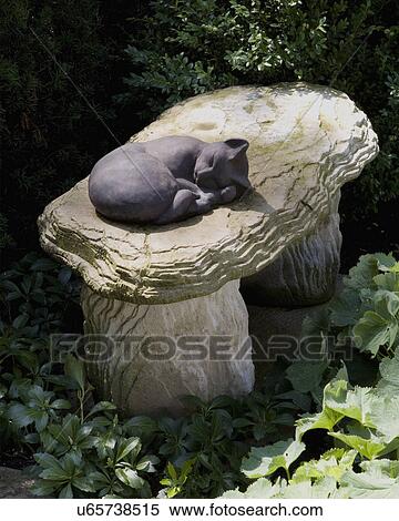 Stock Photography - GARDENS DETAIL: Sleeping cat sculpture sits on top of a rough garden bench, ground cover Pachysandra, ladies mantle, boxwood bushes. Fotosearch