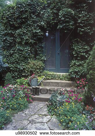 GARDENS: Doors to sunroom, ivy covered doorway, steps, pink petunias, begonias, green watering can, flagstone path, walkway, UP-CLOSE. View Large Photo Image Stock Image - GARDENS: Doors to sunroom, ivy covered doorway, steps, pink petunias, begonias, green watering can, flagstone path, walkway, UP-CLOSE. . Fotosearch
