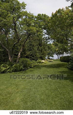 Stock Photo - GARDENS: Gravel path leading to a cream city brick home, Saxifrage ground cover, Pink astilbe, various fir trees, and flowering bushes. Fotosearch