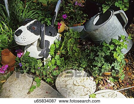 Stock Photo - Gardens - Hand carved black and white wooden dog in ivy. Watering can, clay pot, etched stone slabs.. Fotosearch