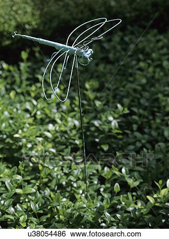 Stock Photograph - Gardens. Iron sculpture, dragon fly, vinca.. Fotosearch