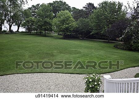 Picture - GARDENS; looking to Lake Michigan, edge of deck stairway, gravel path from deck, tree line to south, expansive lawn, rose bush in foreground. Fotosearch