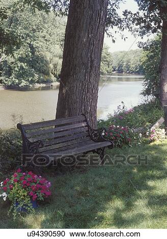 Stock Image - GARDENS: Looking up river, under oak tree, old wood and iron park bench, pink and white impatiens, summer, Des Plaines River, Illinois . Fotosearch