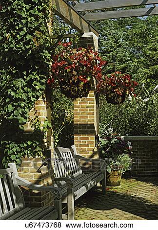 GARDENS: Overhead pergola, hanging baskets, two wooden benches between brick columns, brick patio, climbing vines View Large Photo Image Stock Photo - GARDENS: Overhead pergola, hanging baskets, two wooden benches between brick columns, brick patio, climbing vines . Fotosearch