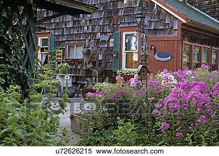 Gardens: Patio area off of a country shingled shed, potted flowers and phlox in foreground. Antiques hanging on wall. View Large Photo Image Stock Photography - Gardens: Patio area off of a country shingled shed, potted flowers and phlox in foreground. Antiques hanging on wall. . Fotosearch