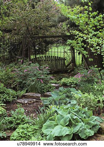 GARDENS: Spring, bleeding heart, old wooden swing settee nestled among flowering trees and flowers, stepping stone path View Large Photo Image Picture - GARDENS: Spring, bleeding heart, old wooden swing settee nestled among flowering trees and flowers, stepping stone path . Fotosearch