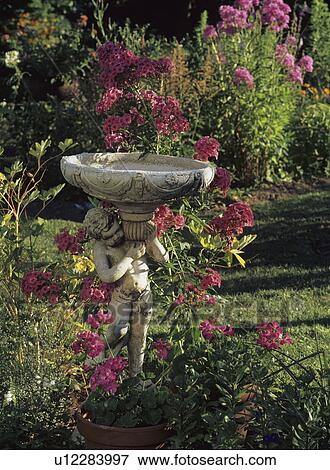 Gardens: Theme garden, with a cherub holding a bird bath basin, surrounding by dark pink phlox. View Large Photo Image Stock Photo - Gardens: Theme garden, with a cherub holding a bird bath basin, surrounding by dark pink phlox.. Fotosearch