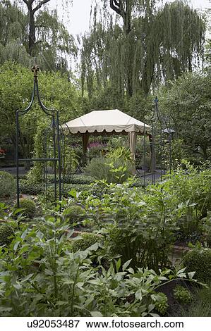 GAZEBOS: Garden, patio, arbors amidst flower beds, large willow trees in background View Large Photo Image Stock Photo - GAZEBOS: Garden, patio, arbors amidst flower beds, large willow trees in background. Fotosearch
