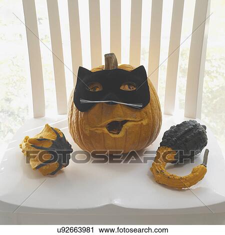 Stock Image - HALLOWEEN SET UP: Brussel sprout trees, lily pods, black cat mask on green hedge apples, white pumpkins, witch hat, spiders, fall dried leaves, gauze stylist: Pillar Simon. Fotosearch