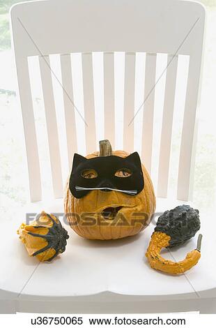 Stock Photography - HALLOWEEN SET UP: Brussel sprout trees, lily pods, black cat mask on green hedge apples, white pumpkins, witch hat, spiders, fall dried leaves, gauze stylist: Pillar Simon. Fotosearch