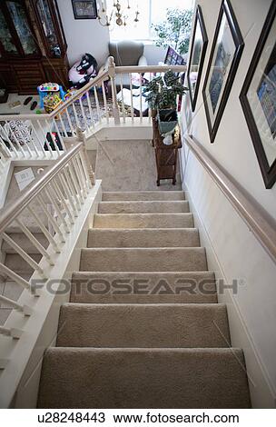High angle view of carpeted staircase, Laguna Beach, California, USA View Large Photo Image Stock Image - High angle view of carpeted staircase, Laguna Beach, California, USA. Fotosearch