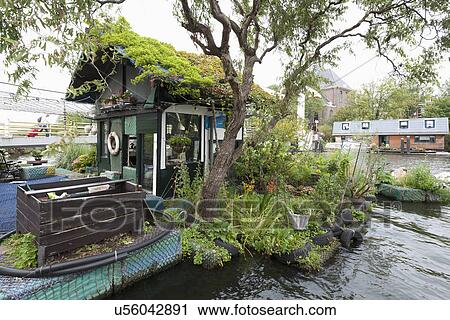 Stock Image - House surrounded by plants and tree floating on water. Fotosearch