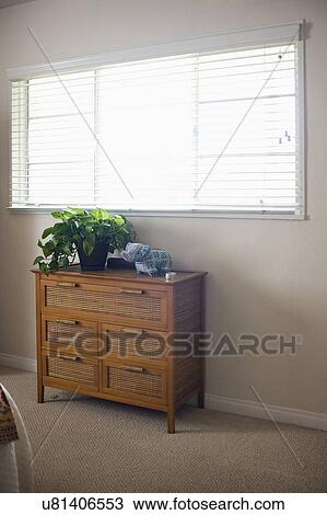 Houseplant with toy elephant on table by the window View Large Photo Image Stock Image - Houseplant with toy elephant on table by the window. Fotosearch