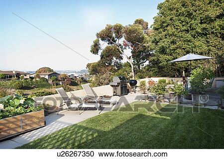 Lounge chairs, barbecue grills and plants in lawn, San Diego, California, United States of America View Large Photo Image Stock Image - Lounge chairs, barbecue grills and plants in lawn, San Diego, California, United States of America. Fotosearch