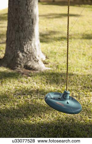 columpio arbol