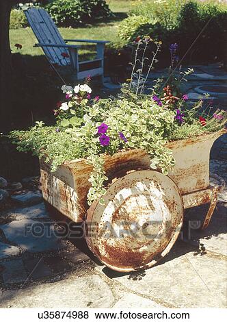 Stock Photo - Old rusty wagon with plants in garden. Fotosearch
