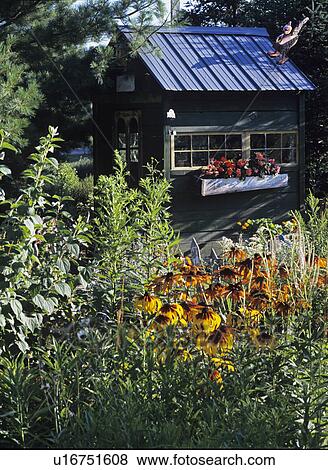 Outbuildings: Potting shed in garden, dark green shed with window box filled with flowers, carved and painted whimsical bird on roof. Cone flowers. View Large Photo Image Stock Photo - Outbuildings: Potting shed in garden, dark green shed with window box filled with flowers, carved and painted whimsical bird on roof. Cone flowers.. Fotosearch