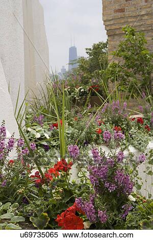 PATIO AREA; CLOSE UP built in planter boxes on a city rooftop garden View Large Photo Image Stock Photography - PATIO AREA; CLOSE UP built in planter boxes on a city rooftop garden. Fotosearch