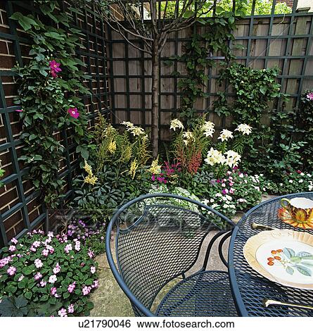 PATIO AREA: corner of city garden trellis and privacy fence, shade perennials, portion of iron patio set View Large Photo Image Stock Photograph - PATIO AREA: corner of city garden trellis and privacy fence, shade perennials, portion of iron patio set . Fotosearch