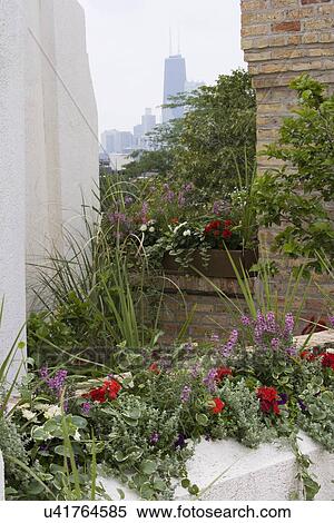 PATIO AREA: rooftop garden, built in planter boxes, filled with annual flowers, city skyline, more of the planter box showing, white stucco showing to left View Large Photo Image Stock Photography - PATIO AREA: rooftop garden, built in planter boxes, filled with annual flowers, city skyline, more of the planter box showing, white stucco showing to left. Fotosearch