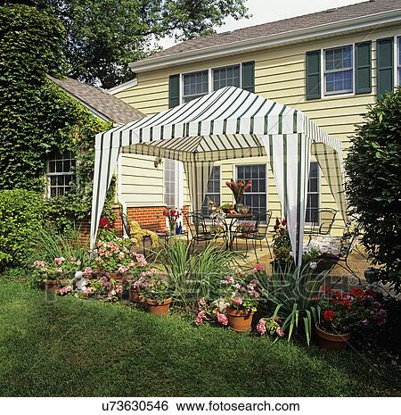 Patio. View towards house. Gazebo tent. Table set. View Large Photo Image Stock Photograph - Patio. View towards house. Gazebo tent. Table set.. Fotosearch