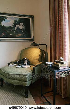 Stock Image - Pet dog sitting on chair in corner with reading light, Santa Fe, New Mexico, USA. Fotosearch