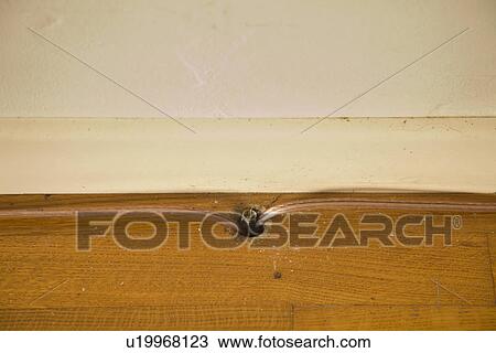 Stock Image - Phone lines running through a hole in the hardwood floor; Carpinteria; California; USA. Fotosearch