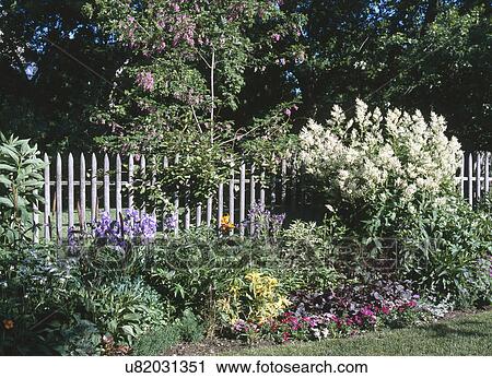 Plants growing by fence in garden View Large Photo Image Stock Image - Plants growing by fence in garden. Fotosearch