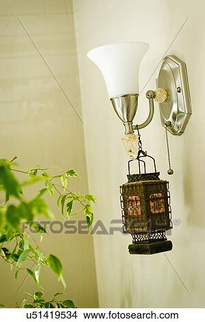 Picture - Plants with wall sconce, San Diego, California, United States of America. Fotosearch