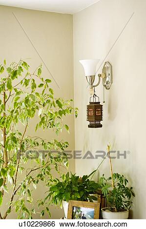 Plants with wall sconce, San Diego, California, United States of America View Large Photo Image Stock Photograph - Plants with wall sconce, San Diego, California, United States of America. Fotosearch