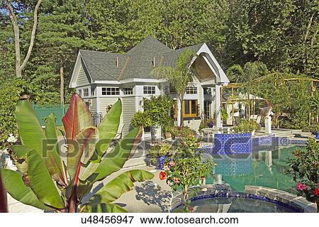 Pool house and plants with swimming pool View Large Photo Image Stock Photo - Pool house and plants with swimming pool. Fotosearch