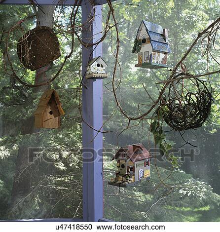 PORCHES: DETAIL Birdhouses, vines in corner of screened porch. View Large Photo Image Stock Image - PORCHES: DETAIL Birdhouses, vines in corner of screened porch.. Fotosearch