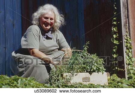 Portrait of a happy senior woman gardening View Large Photo Image Stock Image - Portrait of a happy senior woman gardening. Fotosearch