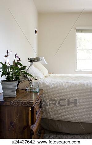 Potted plant and lamp on nightstand beside bed, San Diego, California, United States of America View Large Photo Image Stock Image - Potted plant and lamp on nightstand beside bed, San Diego, California, United States of America. Fotosearch