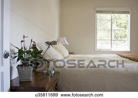 Potted plant and lamp on nightstand beside bed, San Diego, California, United States of America View Large Photo Image Stock Photo - Potted plant and lamp on nightstand beside bed, San Diego, California, United States of America. Fotosearch