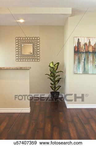 Potted plant on hardwood flooring in house, California, USA View Large Photo Image Stock Photo - Potted plant on hardwood flooring in house, California, USA. Fotosearch